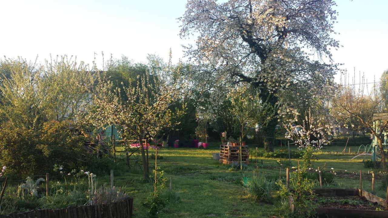 Chambre D'Hotes A La Campagne Nevers Challuy Exterior photo